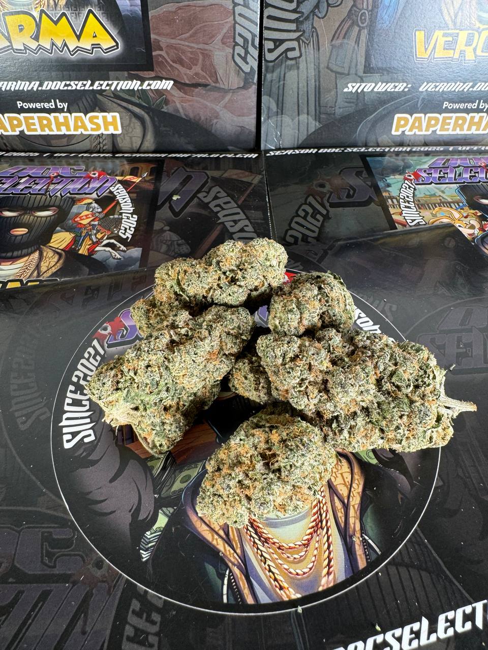 ππ€π₯ πππ‘π π¨π₯πππ£ πΏπ€π πππ‘πππ©ππ€π£ - ππͺπ₯ππ§ π½π€π€π