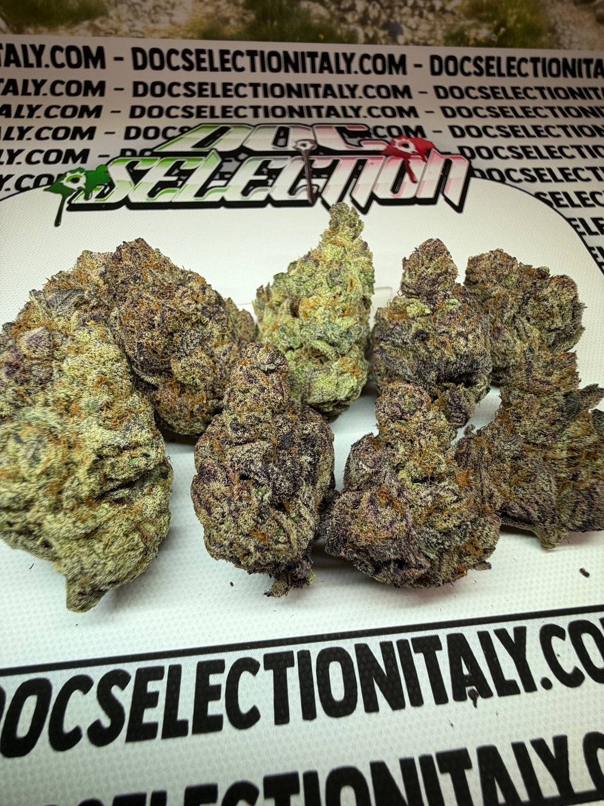 TRENCHY RUNTZ - TOP Spali Doc. Grow Spain